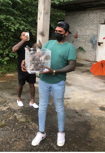 Explore Rasta Culture Through African Travel Vlogs