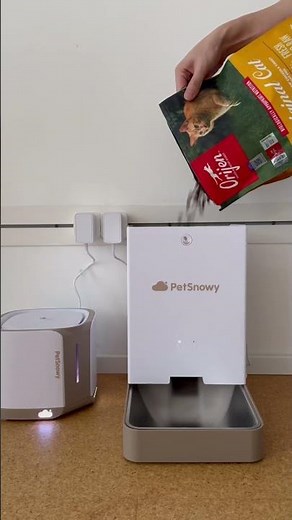 Clean, hydrated, and well-fed — the PetSnowy way.