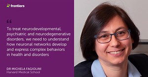 Led by Chief Editor Michela Fagiolini of Boston Children's Hospital and Harvard Medical School, our new section on Neurodevelopment explores refinement of brain circuits in health and disorders. Learn more and submit your research: https://fro.ntiers.in/EBFs | Frontiers