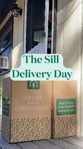 The Sill Delivery Day