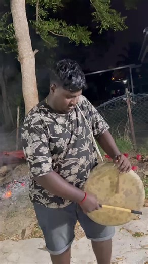 Customer Feedback Highlights: Positive Reviews & Reactions