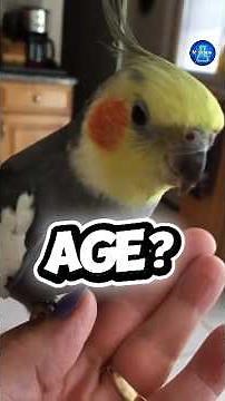 World's Oldest Parrot 🦜! Age😱❓