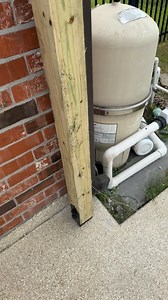 Austin Dennis on Reels