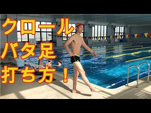 【水泳】クロールの泳ぎ方を教えます！《バタ足の打ち方》