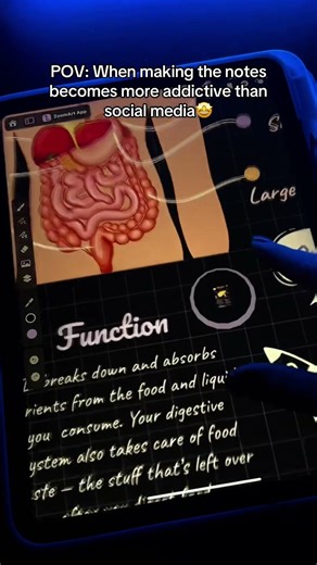 #ipadnotes #notes #digitalnotes #humananatomy #studywithme #notetaking #ipad #study #studymotivation
