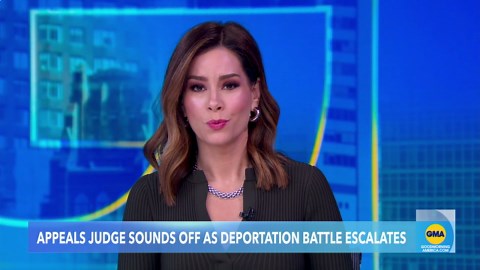 FBI launches task force to investigate incendiary devices found at Tesla showroom