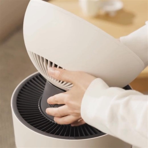 LG PuriCare™ AeroBooster | LG Global | Facebook