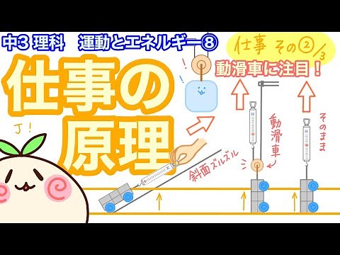 【中3理科p8】仕事の原理！動滑車とか使ってみよう！【仕事その２】
