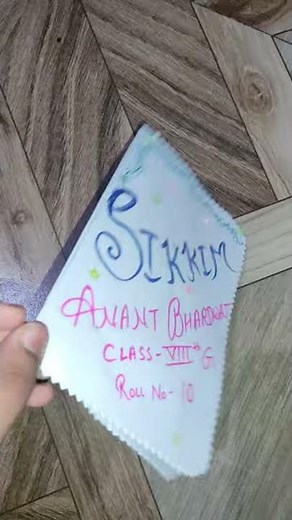 Sikkim project in maths | sikkim bar graph, histogram, pie chart | how to make a project on sikkim