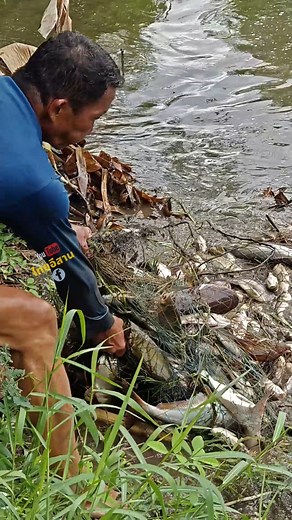 บาดเดียว 50 โล ป๋าอุ๊ดอุดร #fishing #catchingfish #หว่านแหจับปลา | ไทยอีสานบ้านเฮา Thai Esan
