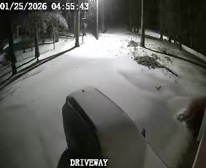 TREE GOES DOWN: David Morris sent us this video of a tree falling in Ramer, Tennessee. | Action News 5