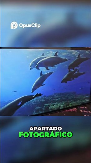 Tablet 8.7 Inch LCD Screen, Camera and More!