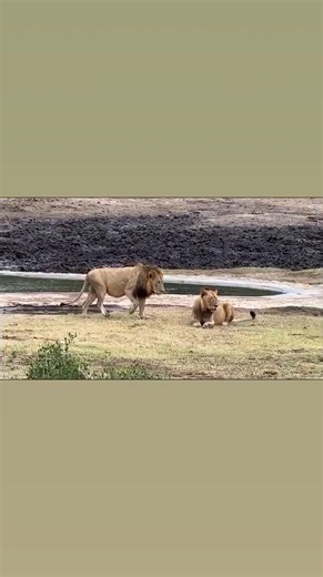 Hello Monday!!! CKTours | CKTours