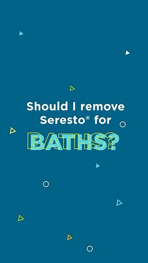 Bath time? No need to remove your pet’s Seresto® collar. | Seresto