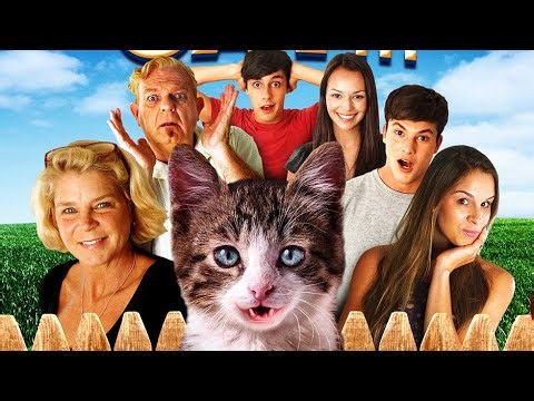 A TALKING CAT!?! Official Trailer (2013, Johnny Whitaker, Kristine DeBell, Justin Cone)