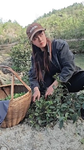 Viral bird master, make people laugh out loud funny videos entertainment +62 viral funny videos