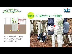 【施工手順説明】セキスイ蛇腹式幼齢木保護チューブ スパイラルグリーン