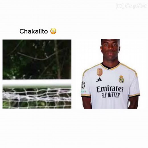 Videos de Tik tok (@futbol_fifa_2) con “sonido original - Tik tok”