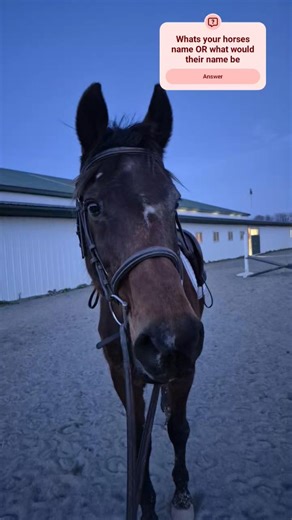 Last night's ride on mia! #photoshoot #photodump #horse #blowup #4urpage #fypシ゚viral #fyp #viral