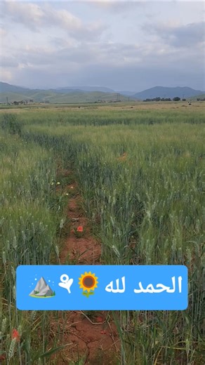 الحمد لله ⚘️⚘️🌻🌻 مراكش 🇲🇦 المغرب