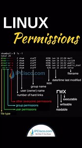 3K views · 87 reactions | LINUX PERMISSIONS!! ~ IPCisco.com . Linux Commands: https://ipcisco.com/linux-cheat-sheet/ . Linux Course: https://ipcisco.com/course/kali-linux-course/ . #linux #linuxfan #linuxadmin #linuxtips | Ipcisco | Facebook