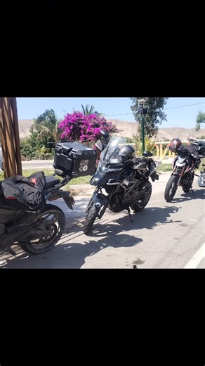 Cocha San Pablo INGENIO - NAZCA #fypシ゚viral #peru🇵🇪