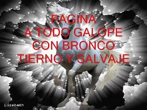 BRONCO MIX Pa pistear 1 | Tierno Salvaje