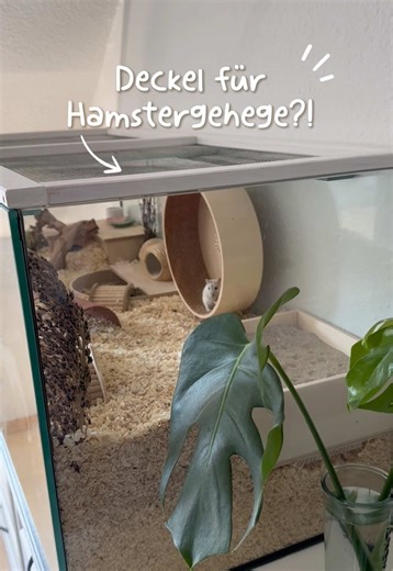 Hamstergehege absichern: Darum ist eine Abdeckung wichtig