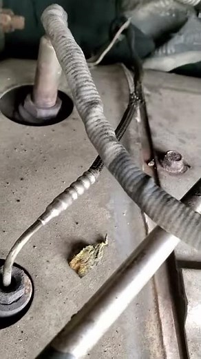 DD13 Inlet NOX sensor fix 2013 freightliner cascadia