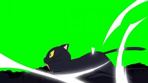 Cat, Jack, Tomcat, Black, Dark