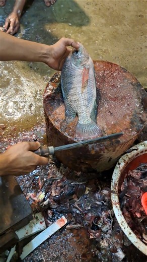 How to Cut Tilapia Fish Like a Pro (Satisfying Video)