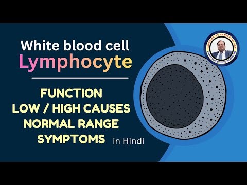 Lymphocytes Explained | Types, Functions, Normal Range & Causes of High/Low Lymphocytes