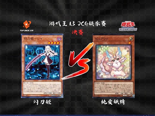 【超牌】游戏王 1月3日 OCG娱乐赛 决赛 直播录像（现场收音+14师傅解说版）