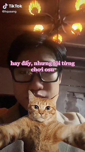 Exploring the World of Osu: What You Need to Know