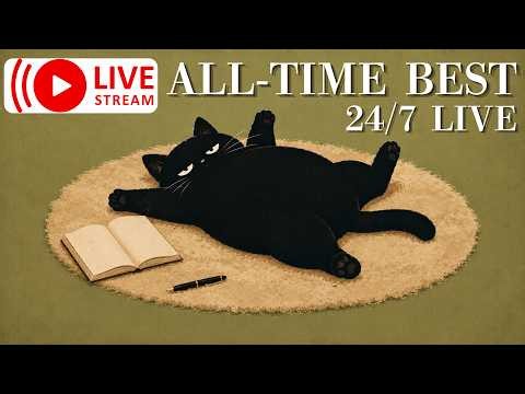 24/7 Noir Jazz Radio – Best of the Lounge | Fan-Favorite Vintage 1940s Jazz & a Black Cat