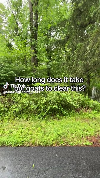 Goats at Work: Efficient Grazing Services