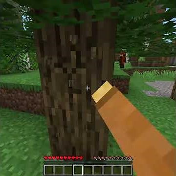 day 1 on the Minecraft 100 by 100 world