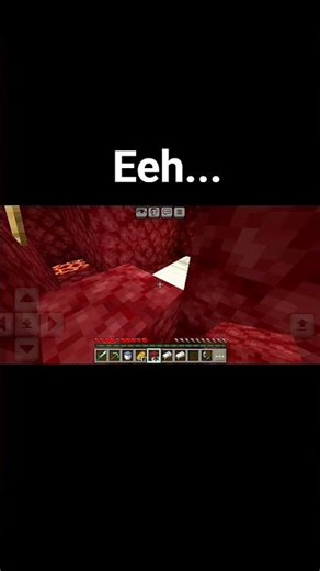 I sleep in Nether....😵‍💫#minecraft #viral #memes #gaming #nether