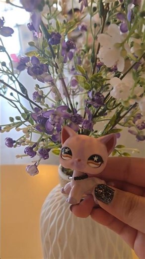 LPS Date Day! #lps #littlestpetshop #date #movies #collectible #collection #toy