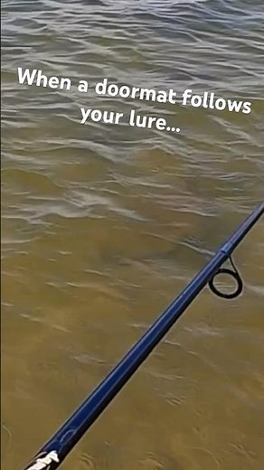 If I just worked it a little slower…😔 #doormat #flounder #wadefishing