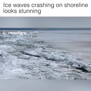 Nature is amazing | Howlers