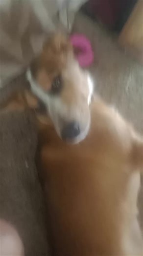 Buddy Hunnicutt31 (@.hunnicutt)’s videos with original sound - Buddy Hunnicutt31