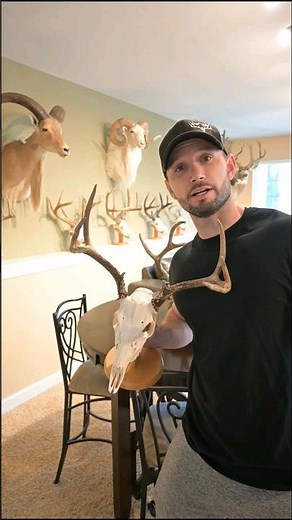 Digital Taxidermy vs Real Taxidermy #taxidermy #digitaltaxidermy #taxidermist #taxidermyart #hunting