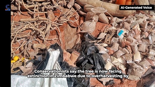 #INVESTIGATION: Untested herbal libido boosters spreading across Harare | Centre For Innovation and Technology | Facebook