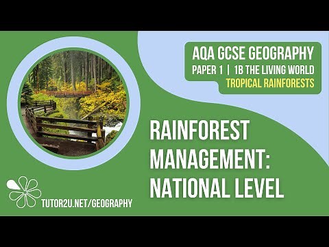 Rainforest Management: National Level | AQA GCSE Geography | Tropical Rainforests 9