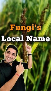 Fungi example with common names | Kingdom Fungi #neet #neet2025