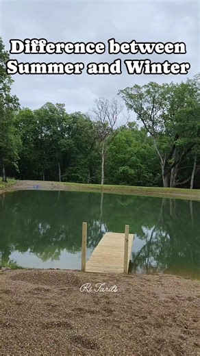 The visual difference between summer and winter season #summer2025 #winter2025 | Ri Tarits