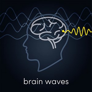 Brain waves vector concept