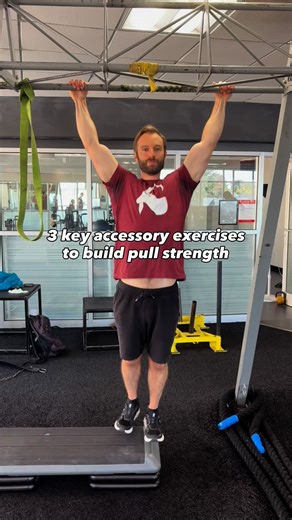 Adam Sandel | Professor Pull-Ups on Instagram: "Wondering how to add volume to your pull day, or how to build up to your first pull-up? The key is to perform movements that engage the pullup muscles and simulate the pull-up itself but that are more doable. TRX pulls, Australian pull-ups, and band-assisted pull-ups are a great start! #pullups #calisthenics #fitness"