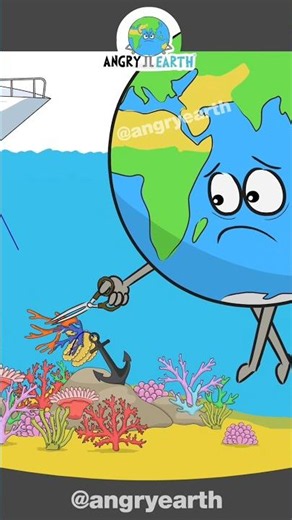 Respect The Reef